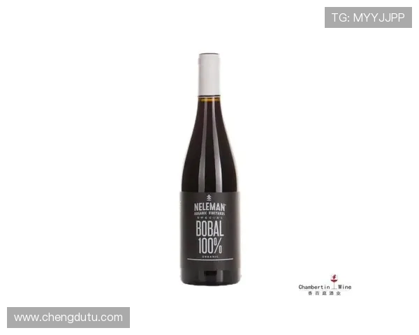 贾尔尼力挺图多尔展现信任莫德里奇状态神勇如陈年红酒